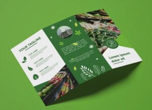 dịch vụ thiết kế brochure uy tín